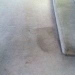 Carpet Cleaning Coral Springs 71465dc1d9df349b2767a689341424e1