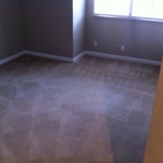 Carpet Cleaning Coral Springs 7a888658cc4d79bd0df832f73cba2f74