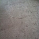 Carpet Cleaning Coral Springs 9902a5b2a310d1dc6062614f00d45e0a